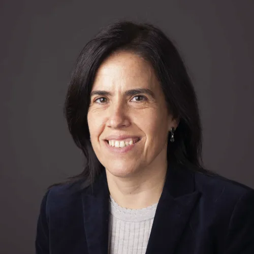 Dominique Hervé