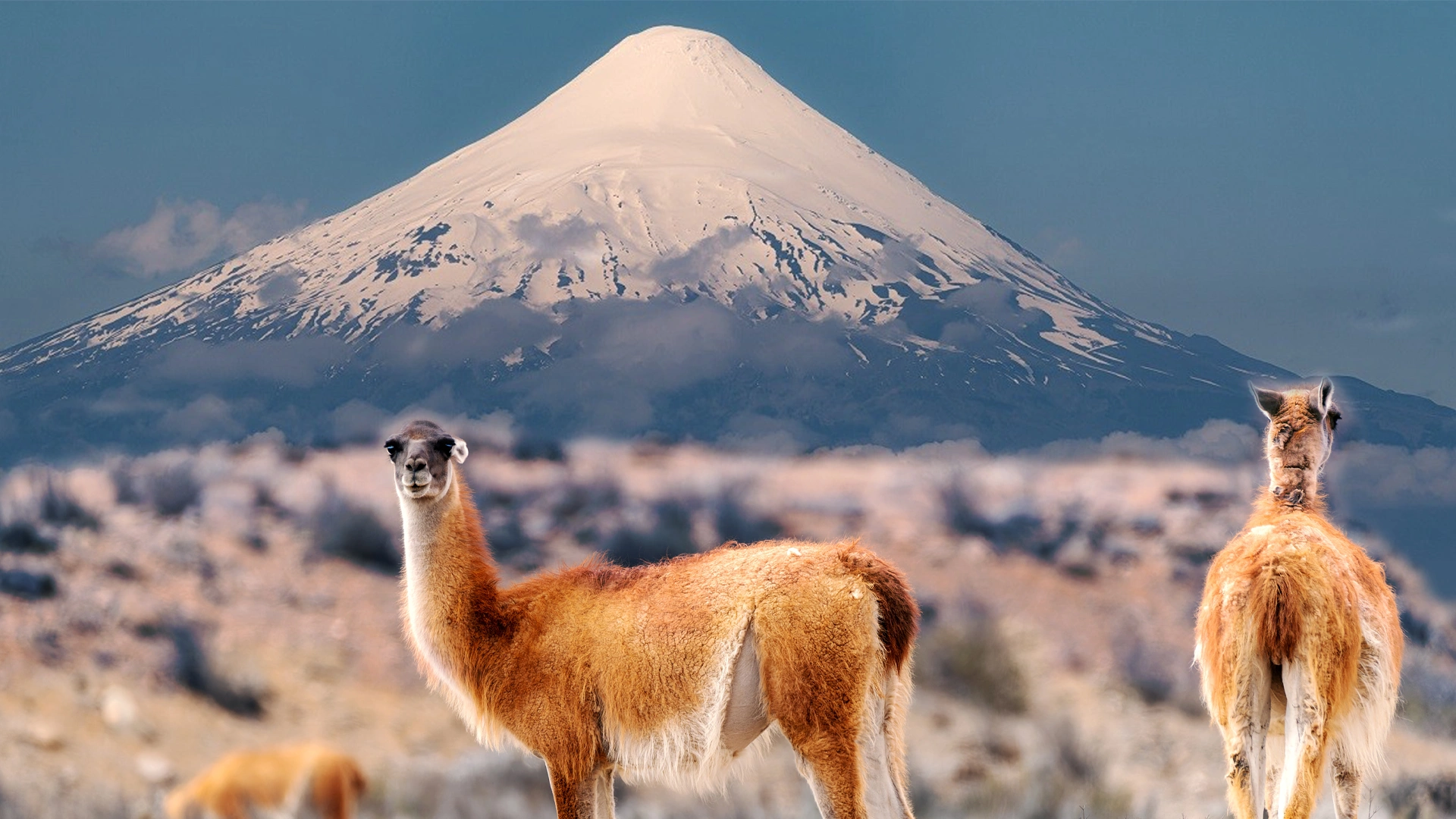 Imagenes Slider
