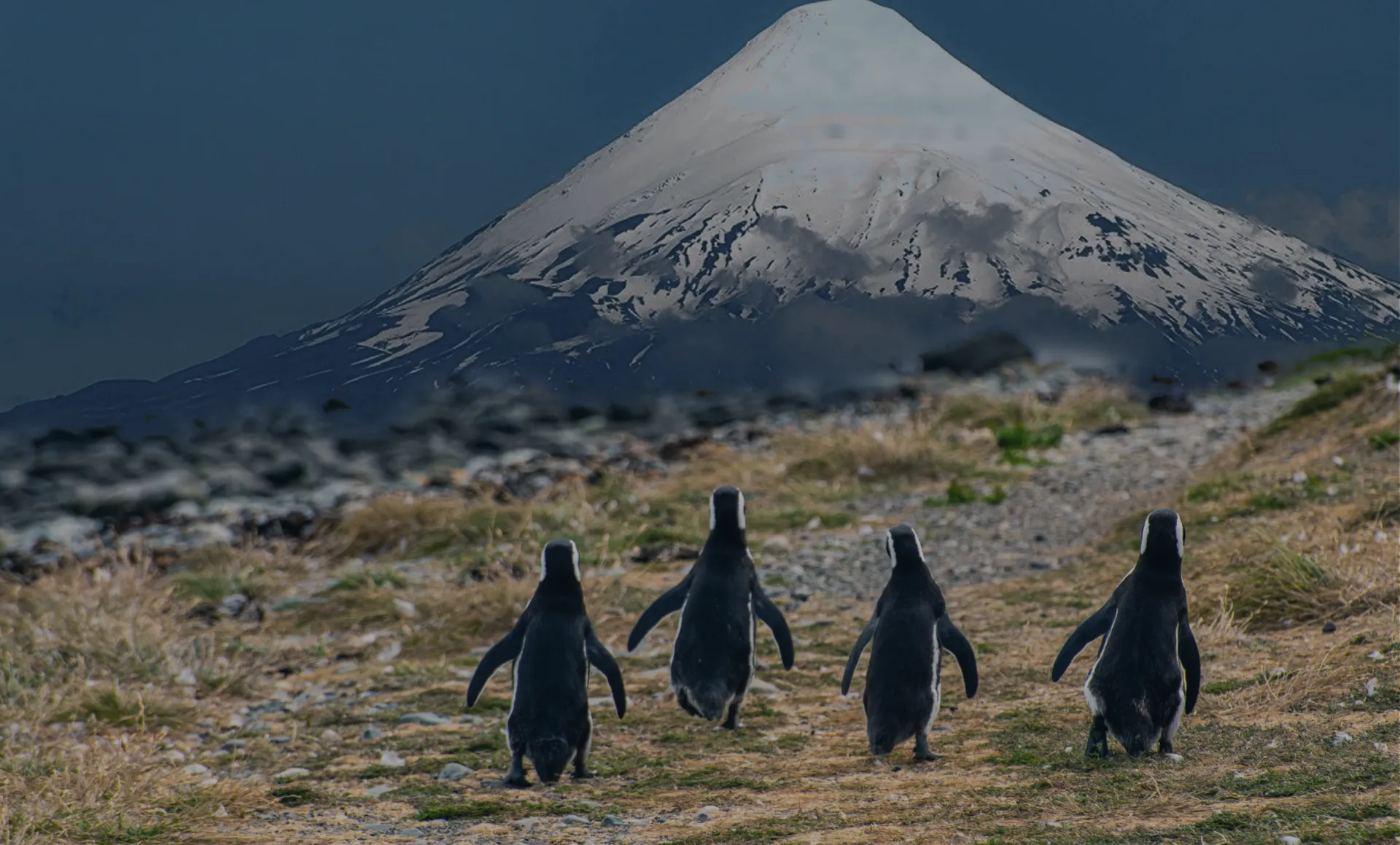 Imagenes Slider