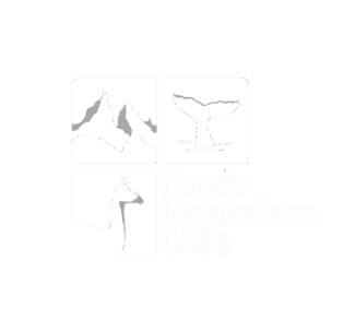 Fondo Naturaleza